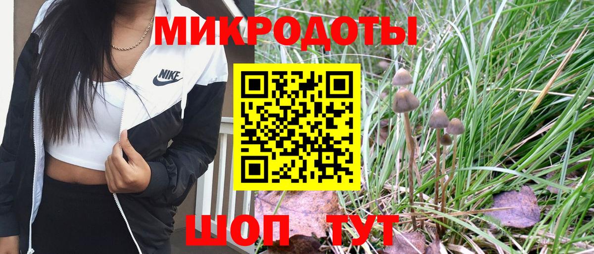 Ростов Великий  Псилоцибиновые грибы Psilocybe  Вход с VPN  Псилоцибиновые грибы мицелий 
