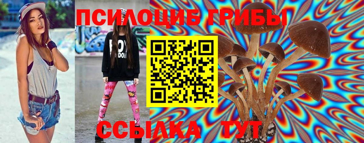 Галлюциногенные грибы Cubensis Ростов Великий